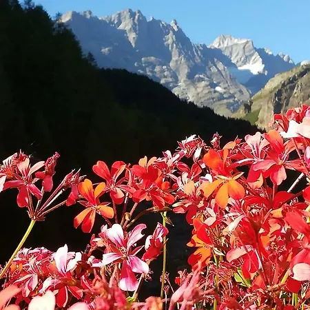 Appartamento Valtournenche Valtournenche